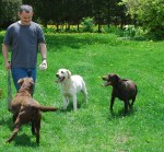 Just loving it when visitors come and play with us