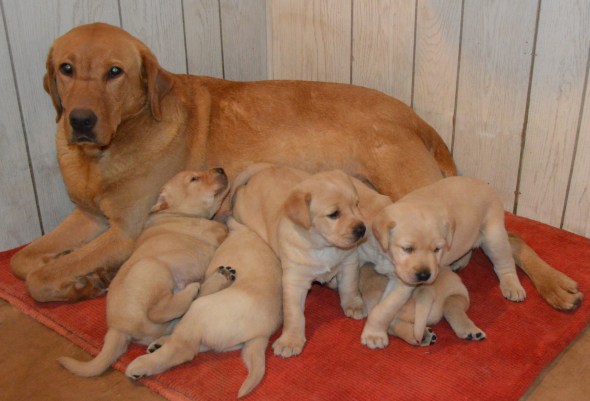 Sunshine & 5 nursing '14DSC_2759