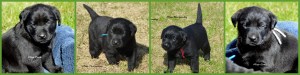 Kassie's girls @4weeks1collage