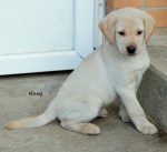 S navy boy&nbsp;16DSC_7159