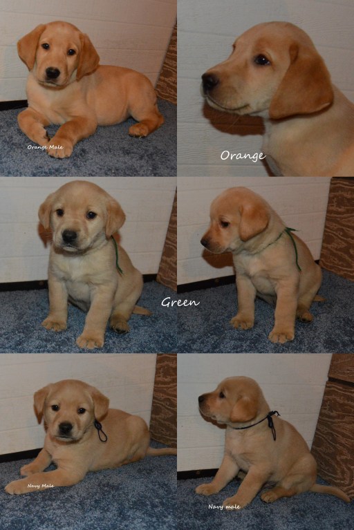 3-winter-boys-17-remaining