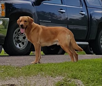 Kodyresized-20170702-160818