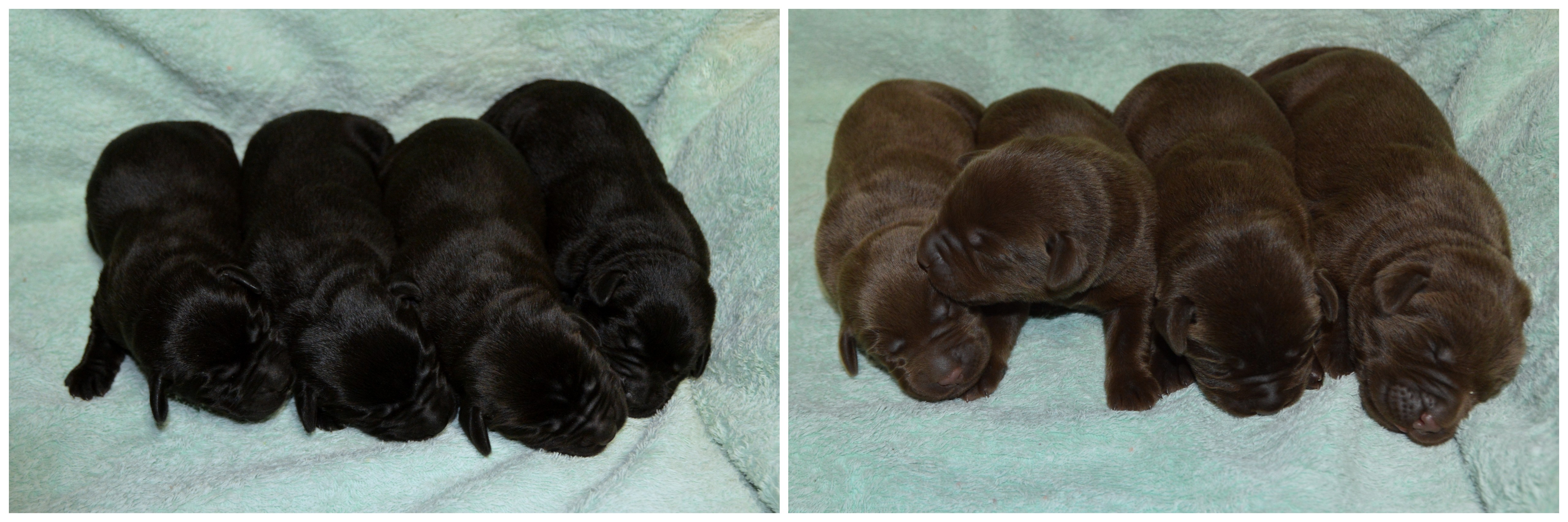 Kassie's '19 @ 5days