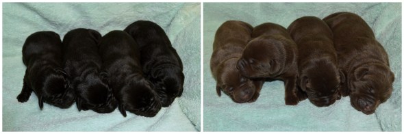 Kassie's '19 @ 5days